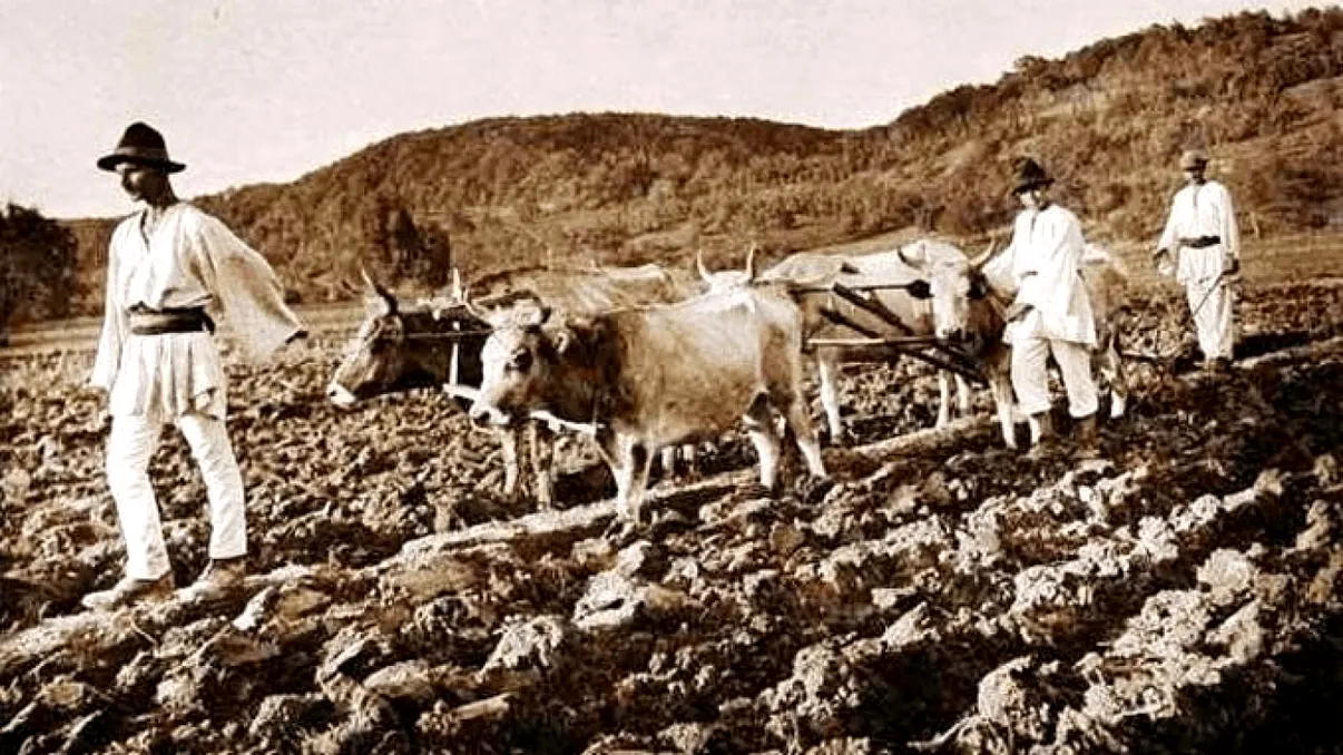 Reforma agrară în România/Introducerea monedei euro și unificarea economică europeană/Semnarea Proclamației de Emancipare și alte evenimente pe 1 ianuarie