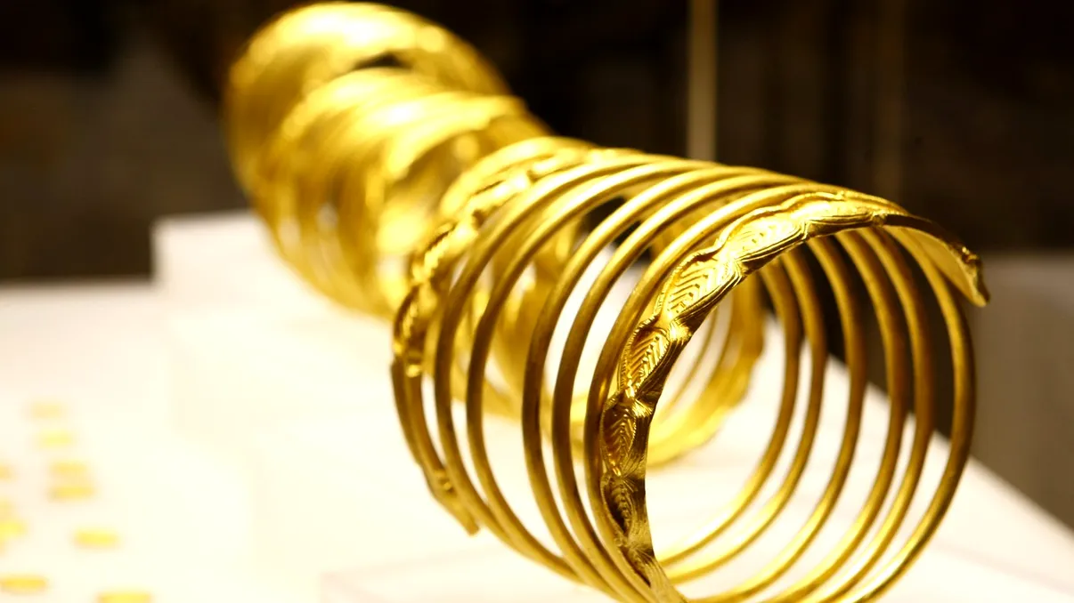 De ce au fost trimise, inițial, obiectele din tezaurul dacic la muzeul din Olanda, de unde au fost furate: ”Are cele mai moderne dotări pentru securitatea pieselor”