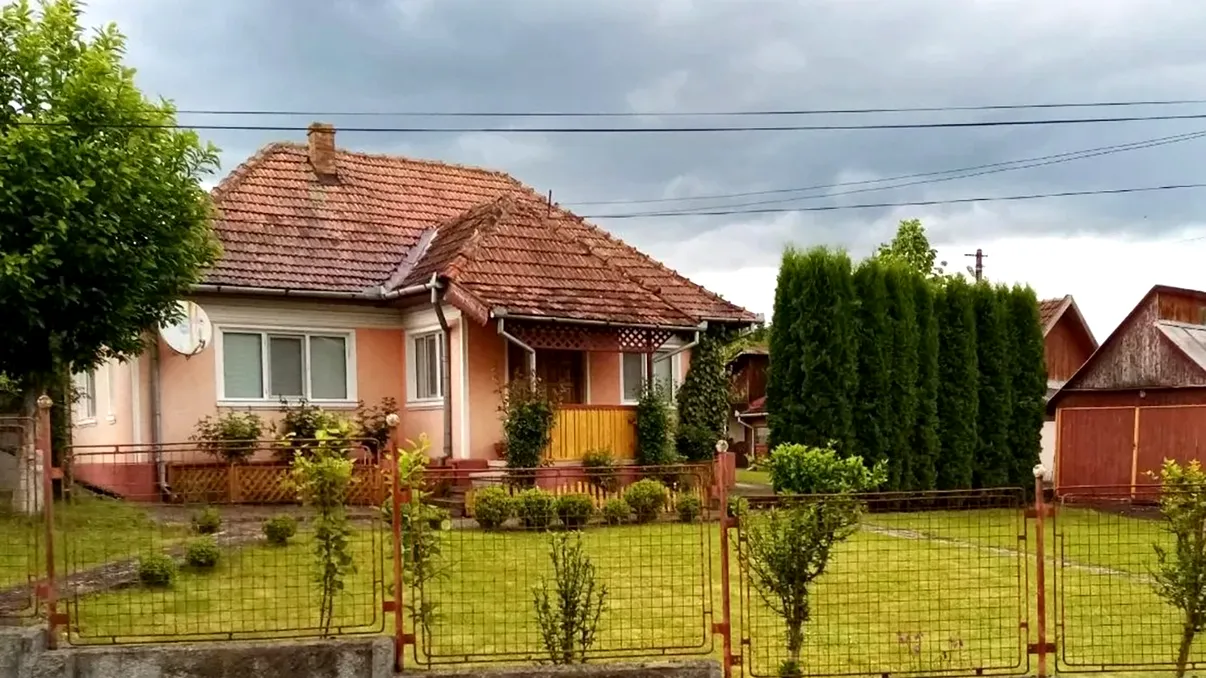 Amenzi de până la 60.000 de lei pentru românii de la curte. Ce greșeală banală îi poate costa scump