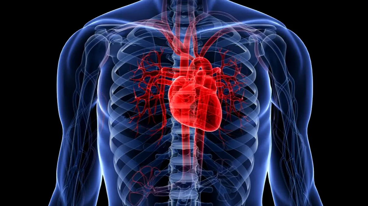 Revoluție medicală, un plasture ar putea repara inimile deteriorate și salva pacienții cu insuficiență cardiacă