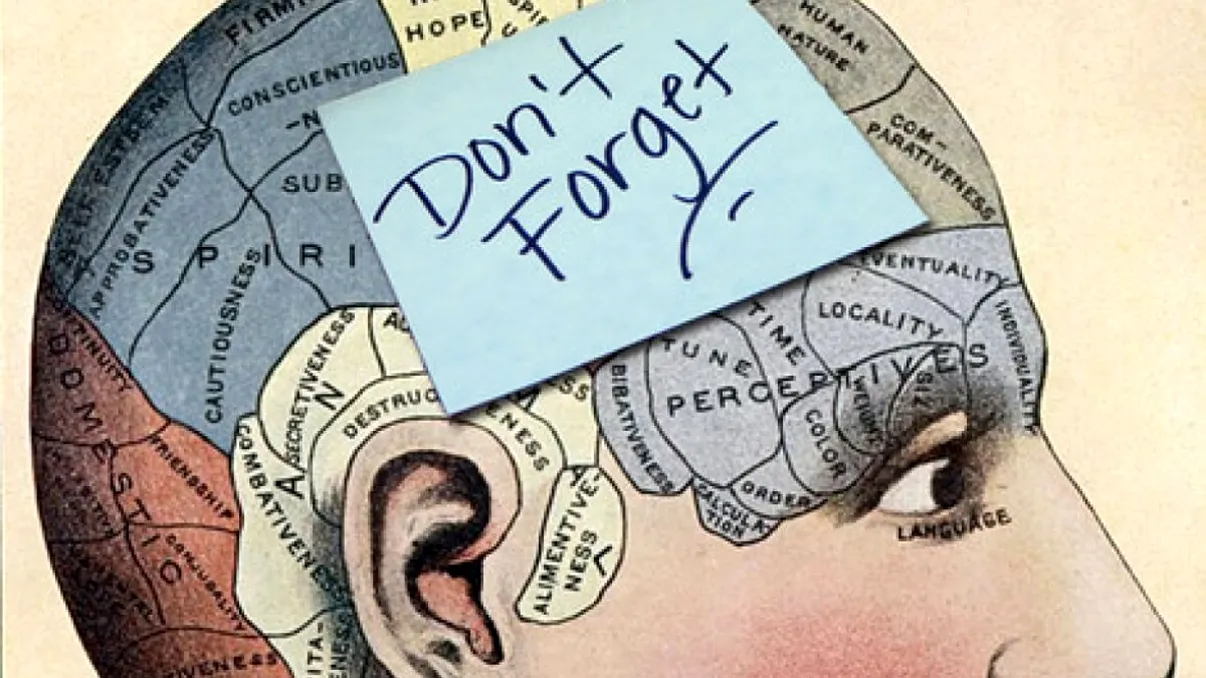 Memoria autobiografică superioară: Există cu adevărat oameni care nu uită niciodată?