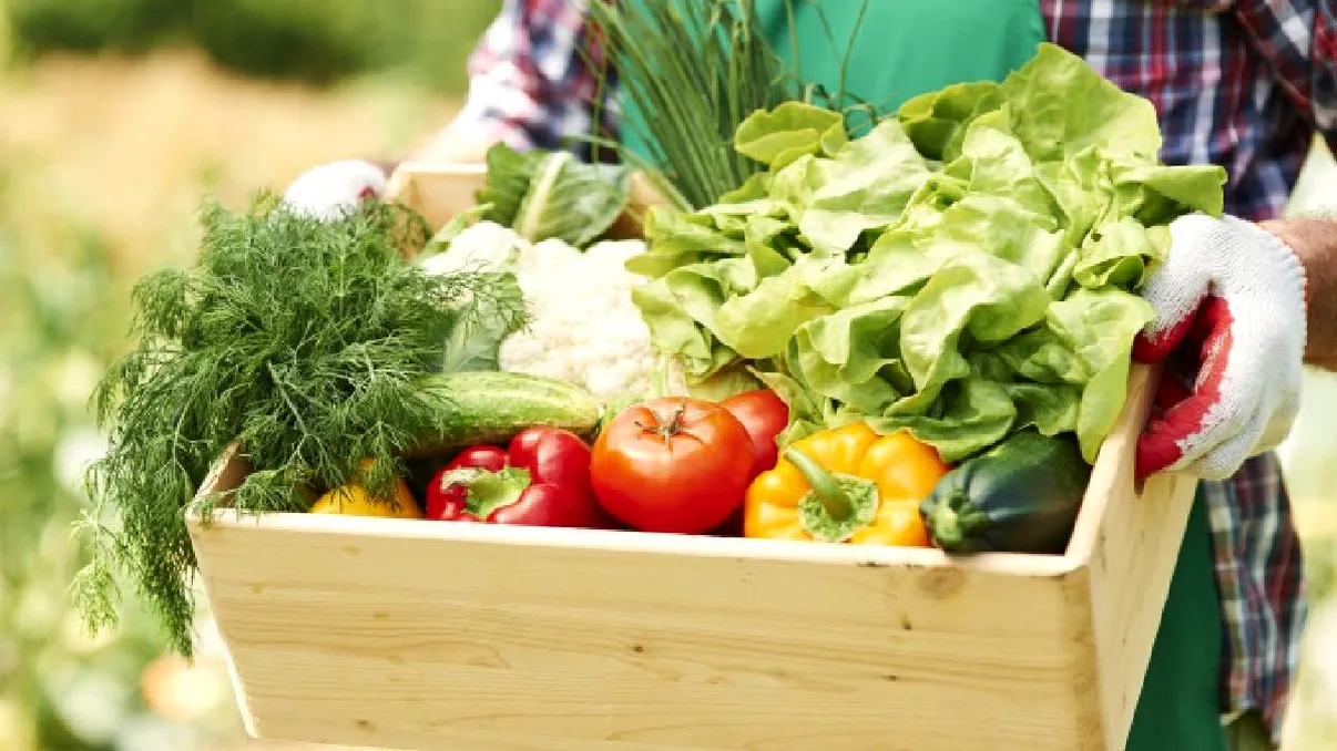 Cea mai contaminată legumă cu pesticide, potrivit celui mai recent studiu EWG. Substanțele chimice rămân în ea chiar și după spălare