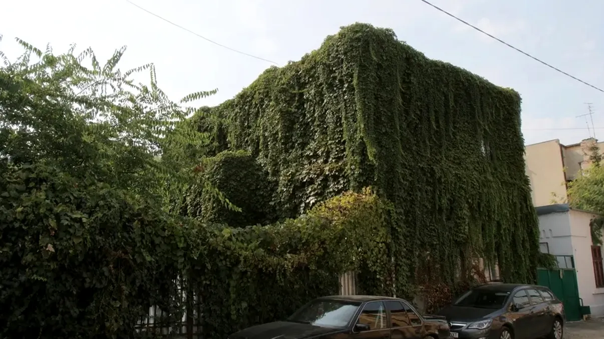 Legenda ”Casei Diavolului” din București, locul în care trei femei și-au găsit cumplitul sfârșit: două dintre ele ar fi fost asasinate, iar cea de-a treia și-ar fi pus capăt zilelor