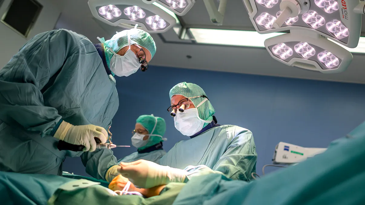 Revoluție medicală: cercetătorii chinezi au creat în laborator primul organ sexual masculin complet funcțional