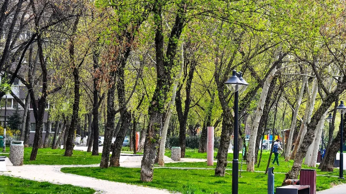 Transformarea Sectorului 6. Ce sunt microzonele din Militari, noutatea Capitalei