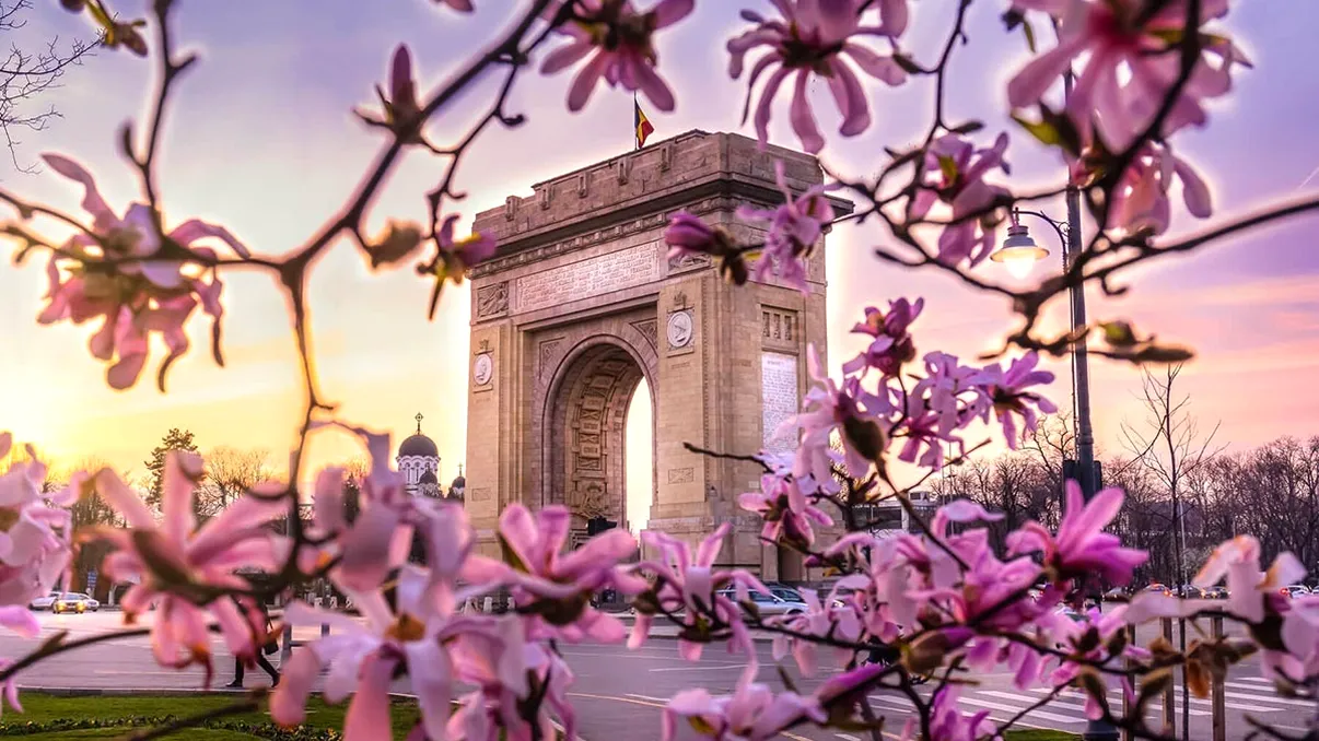 Unde sunt cele mai frumoase magnolii din Bucureşti. Au început deja să înflorească, hartă