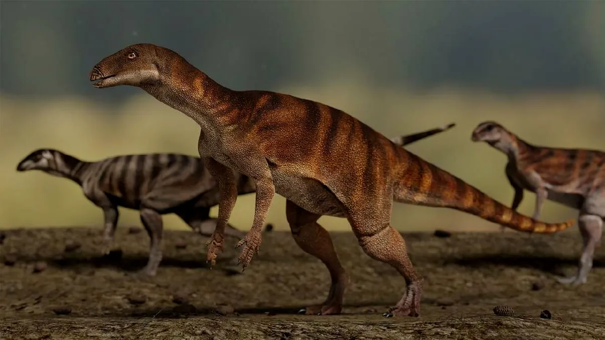 Descoperire uimitoare în paleontologie: 66 de urme de dinozaur, găsite într-o școală din Australia