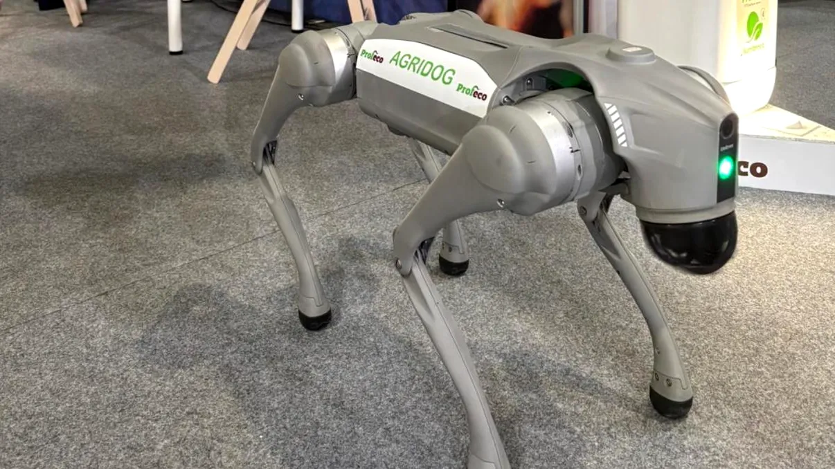 Un robot românesc face minuni pentru fermieri din România. Arată ca un câine, AgriDog face minuni în culturile agricole