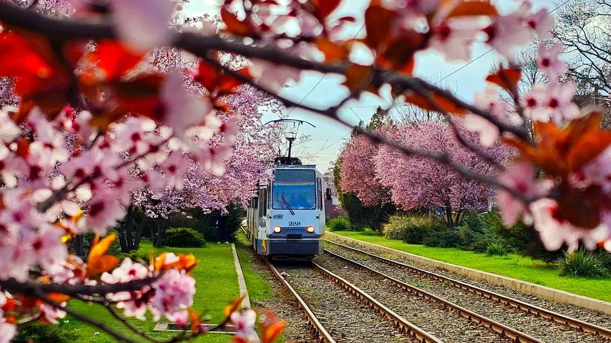 „Stația de tramvai din Rai