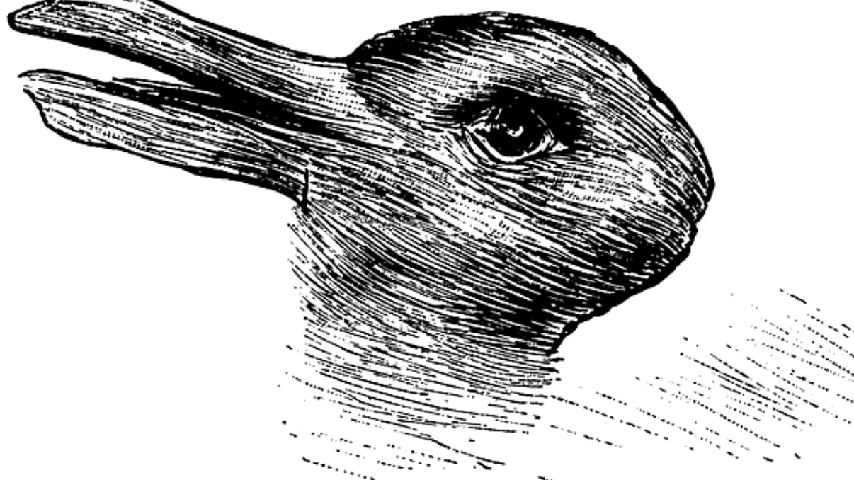 Vezi o rață sau un iepure? Oamenii de știință au explicat ce dezvăluie răspunsul despre personalitatea ta