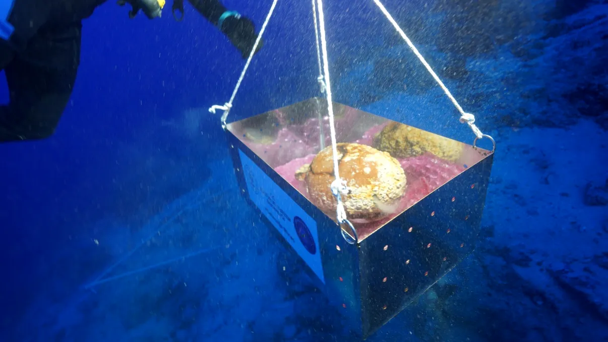 Comoara uitată a Mediteranei: Amfora sigilată de 1.100 de ani care stârnește fascinație printre arheologi