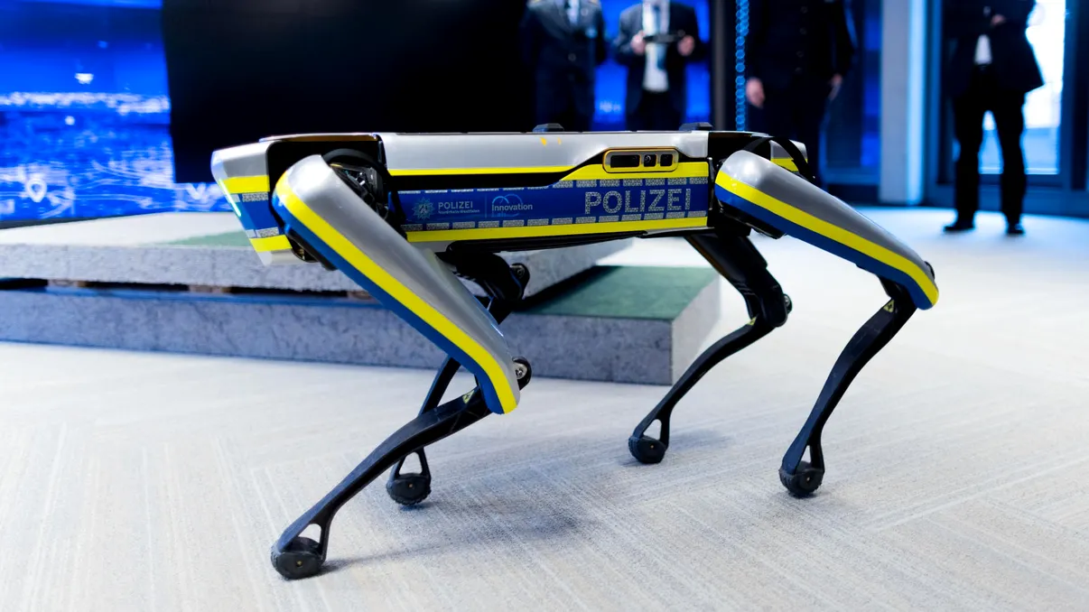 Câinii-robot vin în Europa: Tot ce trebuie să știi despre noul magazin futurist din Italia