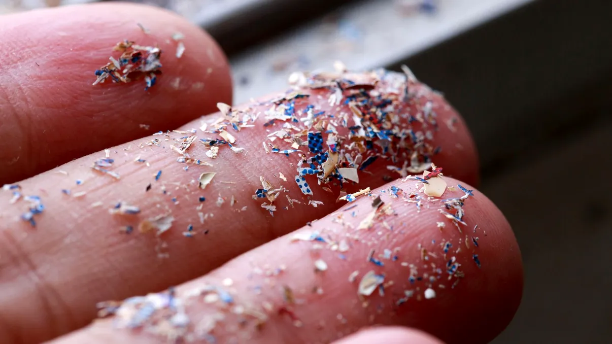 Microplasticele din sânge te-ar putea duce la AVC, conform oamenilor de știință. Cât de răspândită este problema în lume, de fapt