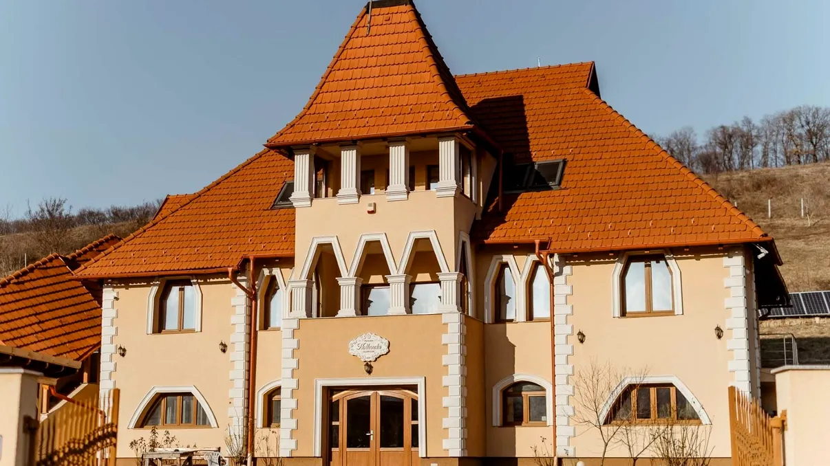 Eleganță și confort în Corunca,la aproape 2 milioane de euro: Vilă de vânzare cu teren extins