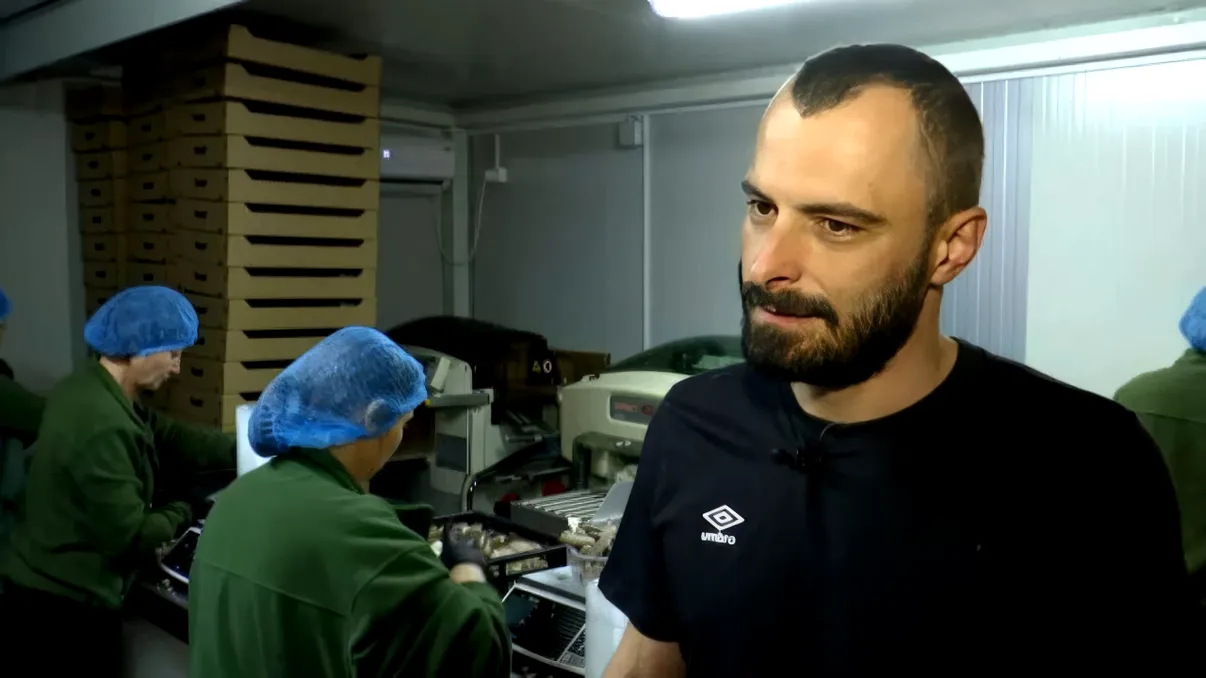 Românul care a dat lovitura cu o cultură profitabilă și ușor de întreținut. Recoltează câteva tone pe săptămână