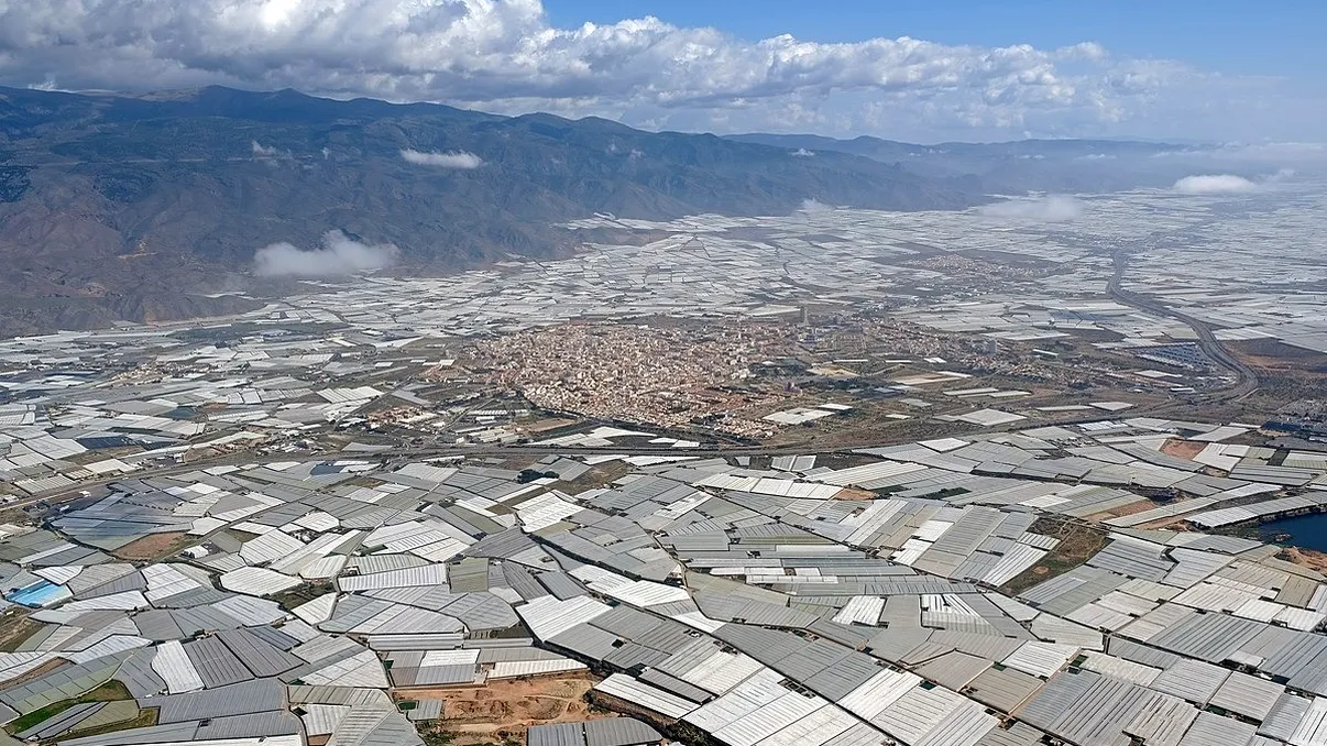 Nu Marele Zid sau piramidele, ci o „mare” de legume: singura construcție umană vizibilă din spațiu