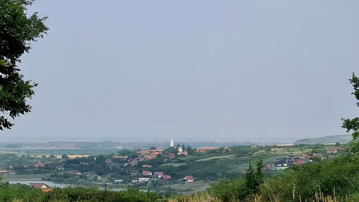 Localitatea din România invadată de animale periculoase. Oamenilor le e teamă să iasă din case: „Am filmat azi una în curte”