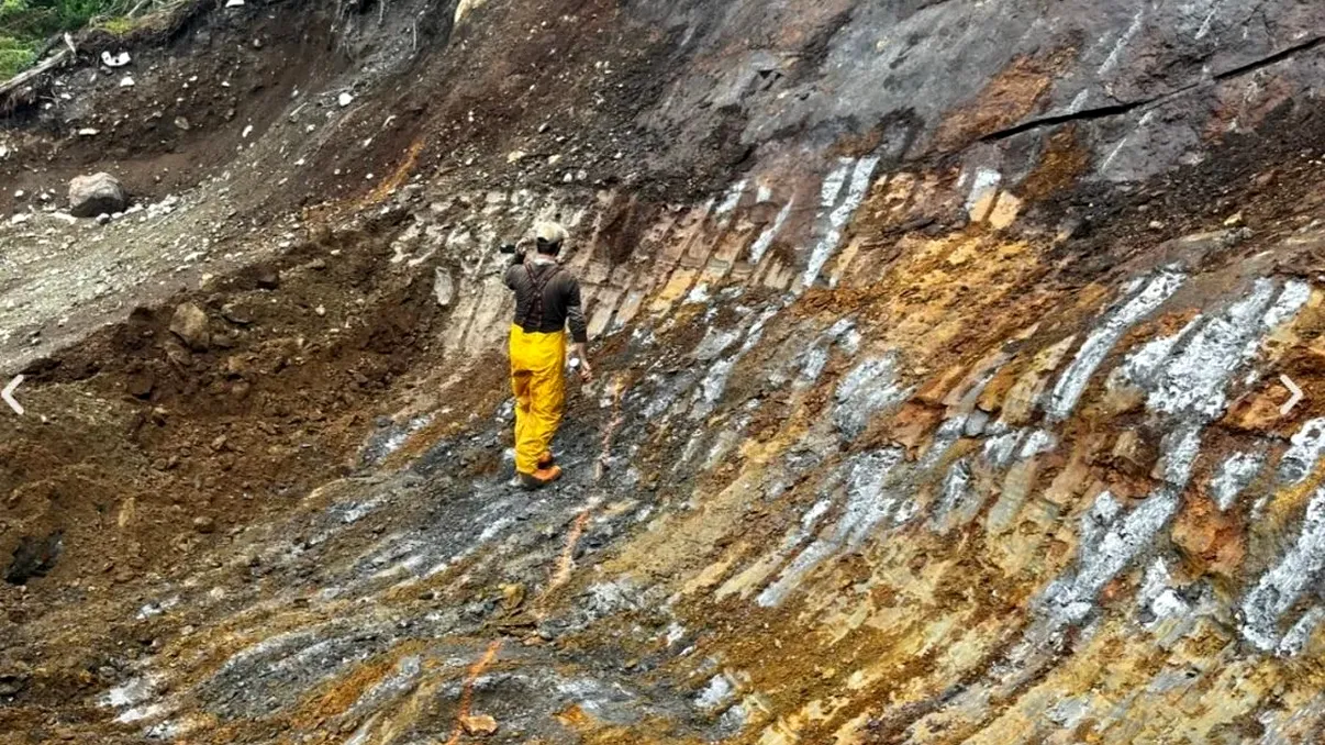 Descoperire fără precedent făcută de niște muncitori. Ce au găsit oamenii cât lucrau le-a adus o recompensă generoasă