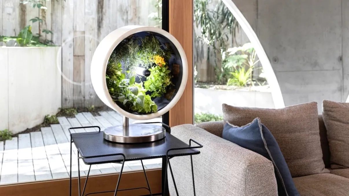 O idee din science fiction devine realitate: plantele care nu au nevoie de lumină