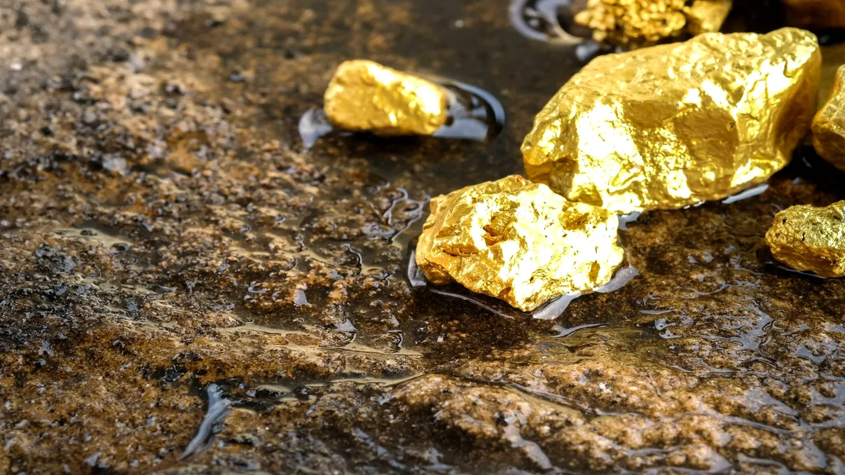 Aur vizibil cu ochiul liber într-un zăcământ uriaș descoperit în adâncuri. La tona de rocă sunt până la 10 grame pure