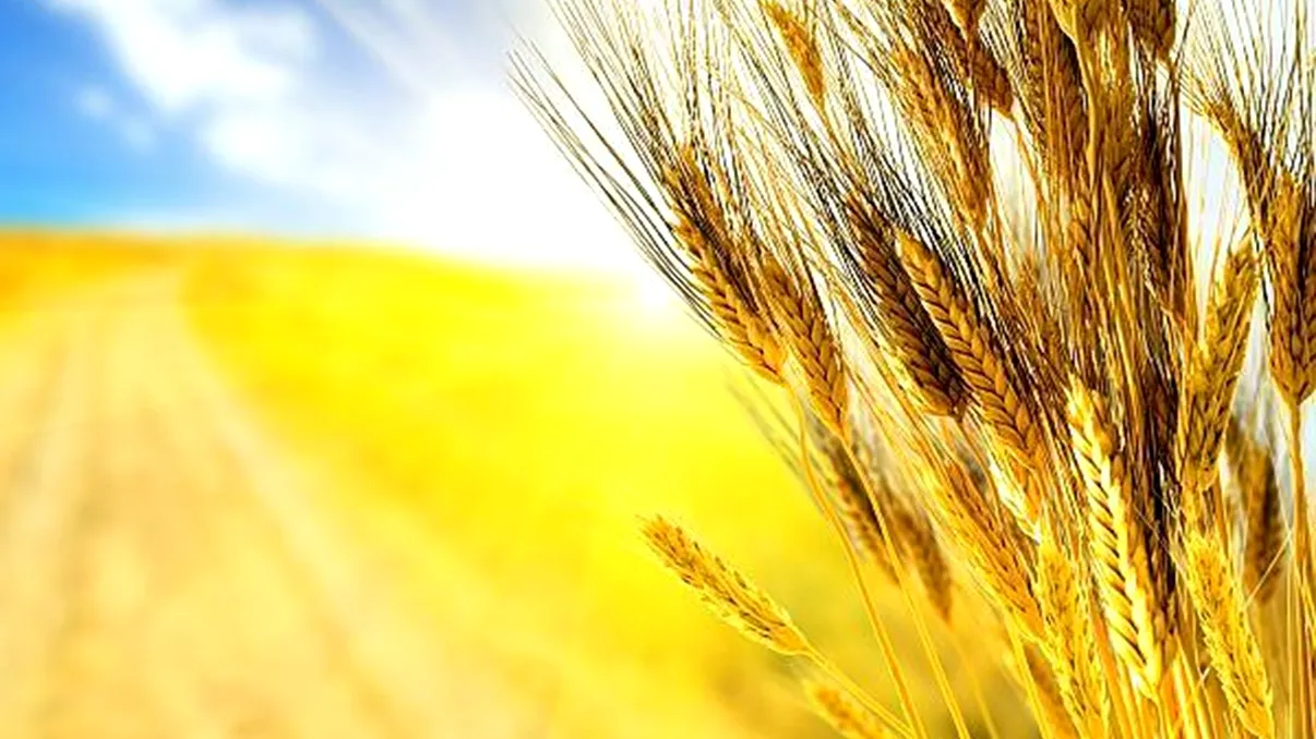 Nu degeaba i se spune luna lui Cuptor. Un val de căldură va acapara luna iulie, ne așteaptă temperaturi caniculare