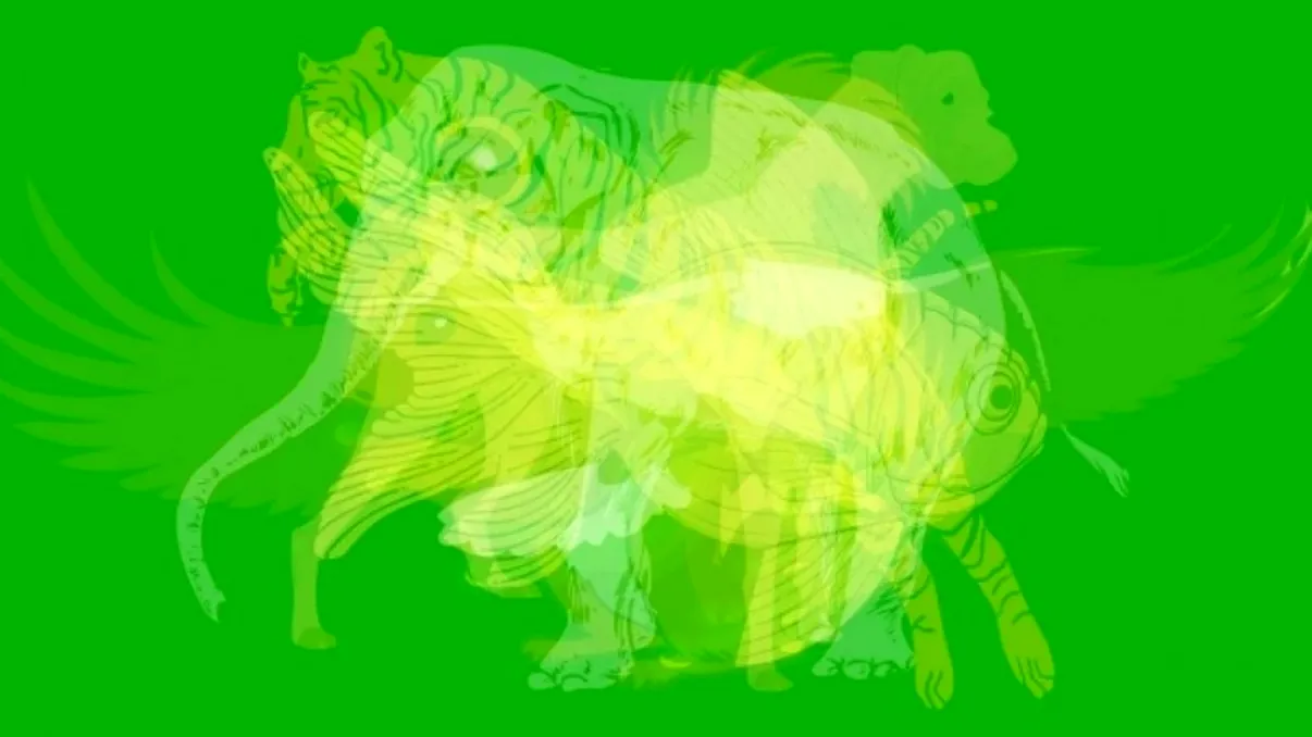 Test de personalitate viral: primul animal pe care îl vezi în imagine îţi spune ce fel de persoană eşti