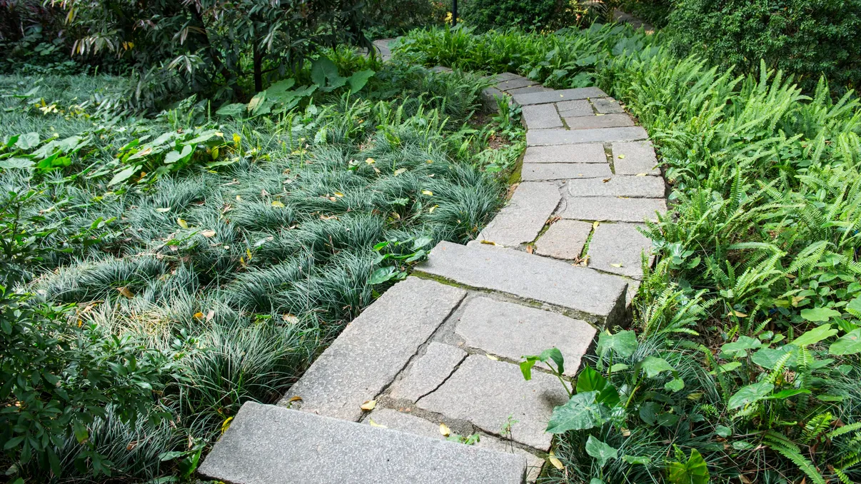 Cât te costă să îți faci o alee pietonală în grădină. Modele, materiale și buget estimativ