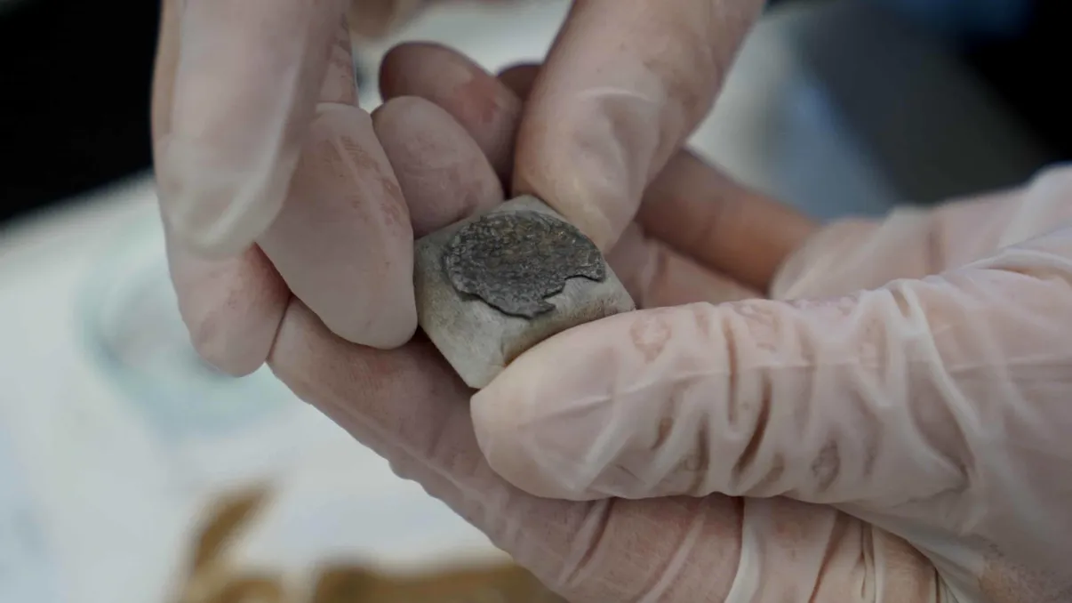 Comori uitate, povești redescoperite: Mormintele vikingilor ies la lumină