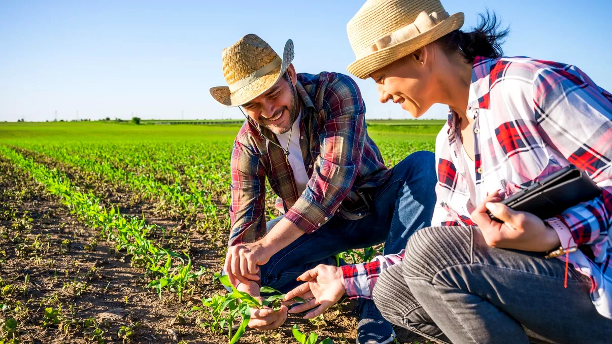 Cât câștigă un român care lucrează în agricultură în Elveția. Salariul fermierilor justifică orele suplimentare
