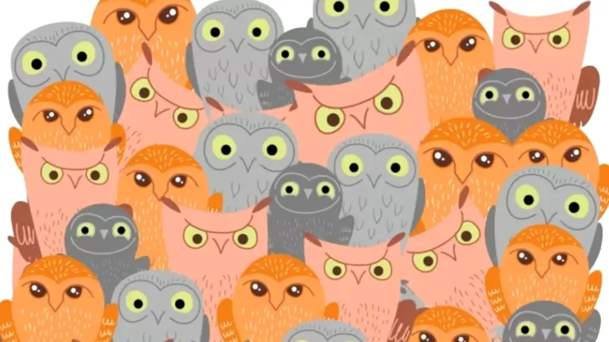 Iluzia optică pe care mulţi nu reuşesc să o 