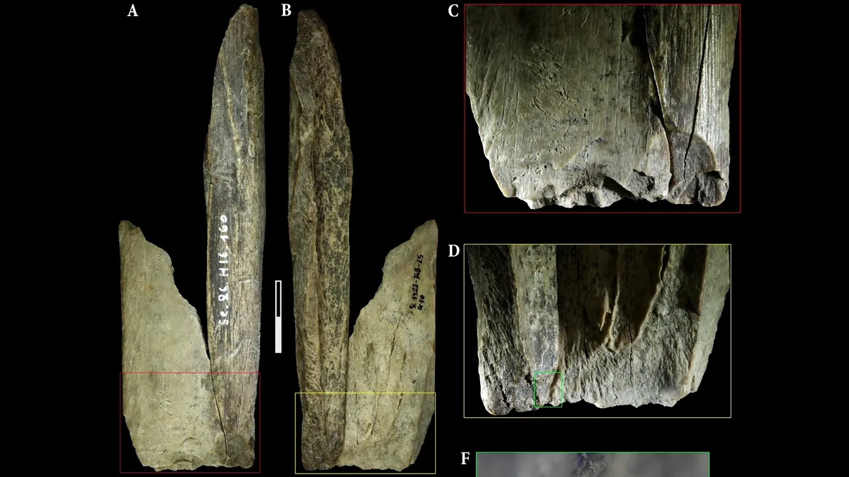 Briceagul elvețian, inventat, de fapt, de neanderthalieni? Descoperirea care ar putea schimba modul în care sunt priviți acești oameni preistorici