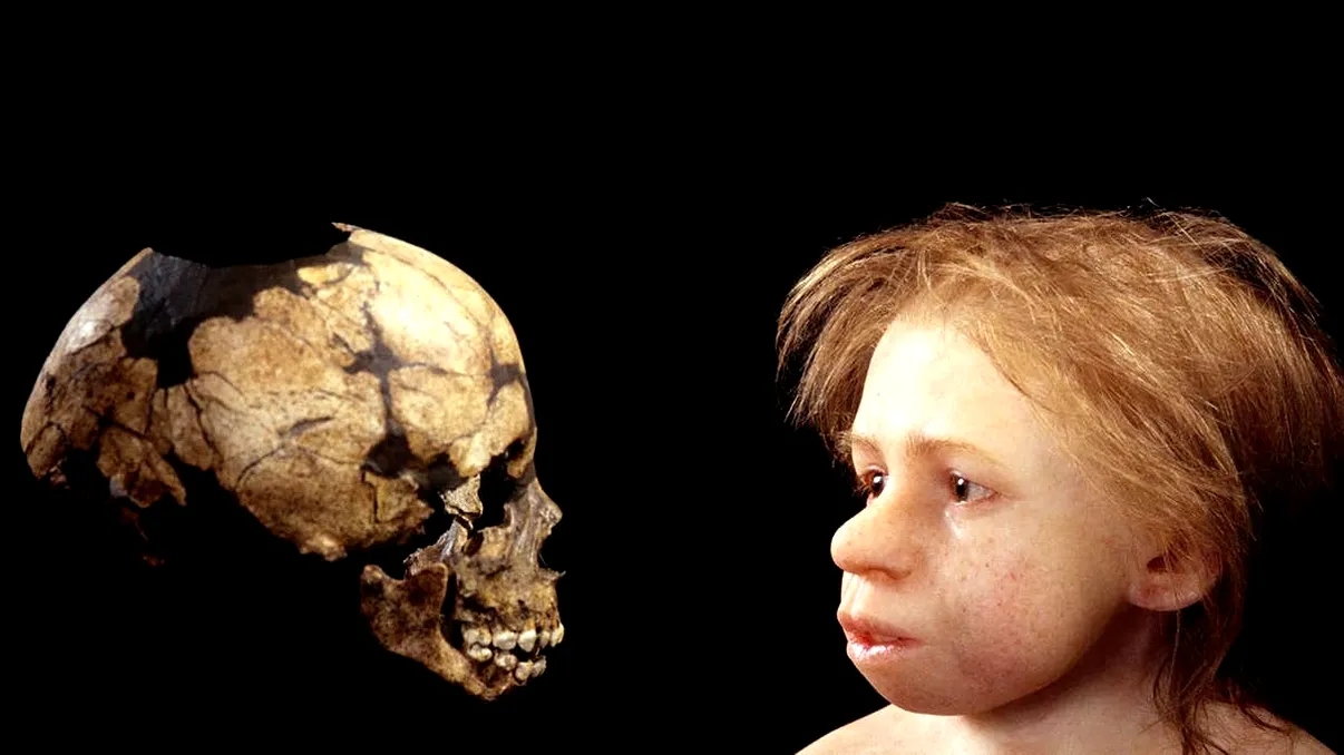 Copilul din trecut care ar putea rescrie istoria umanității: un posibil hibrid între Homo sapiens și Neanderthal