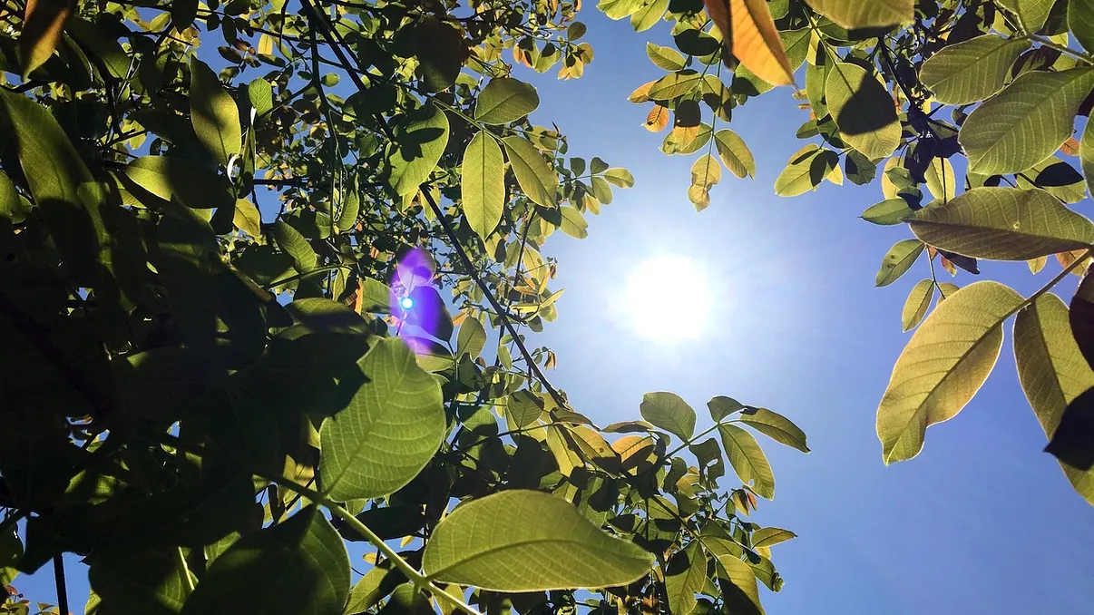 Revine canicula în România. Meteorologii anunță vreme neobișnuită, prognoza meteo pentru următoarele săptămâni