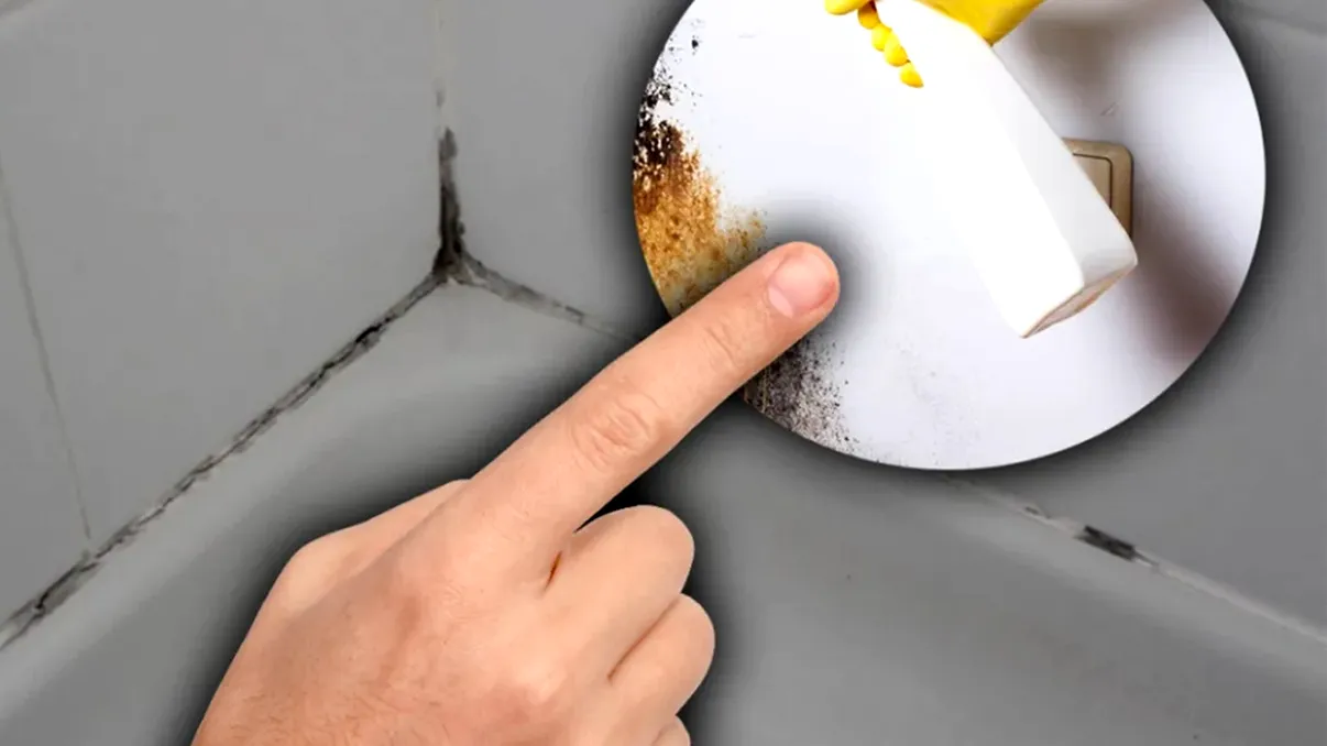 Cum scapi de mucegai și mirosul de umezeală din casă cu bicarbonat de sodiu