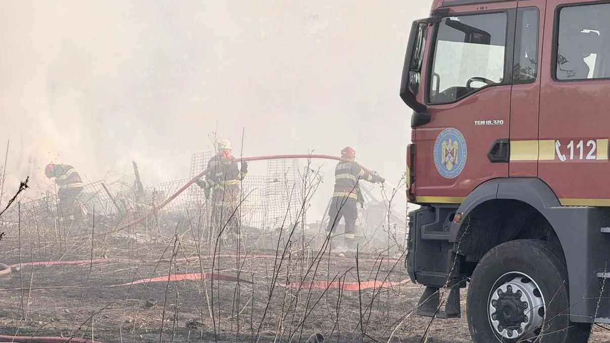 Incendiu de proporții lângă București. Ard cinci hectare în Glina, pompierii intervin de urgență pentru a opri extinderea flăcărilor la locuințe