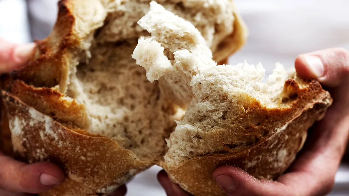 A fost descoperită o metodă ingenioasă de a folosi floarea-soarelui: pâine mai nutritivă dintr-un reziduu extrem de ieftin