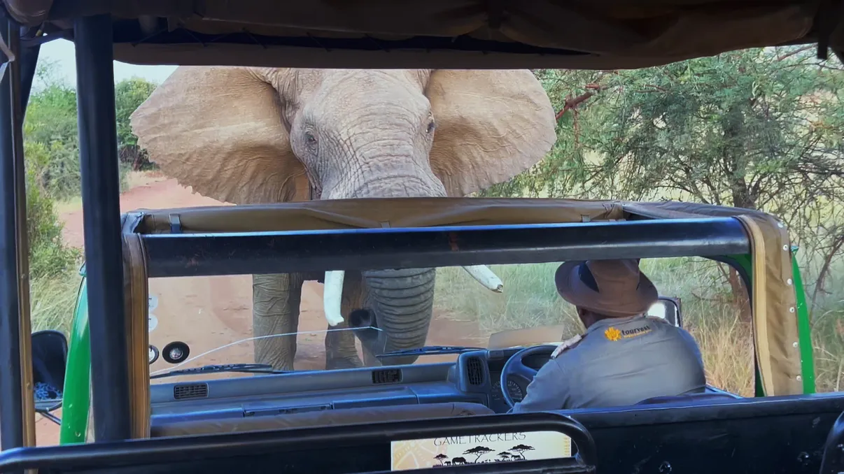 Toamna aduce pe National Geographic investigații dure, culisele aeroportului din Melbourne și misterul Cleopatrei