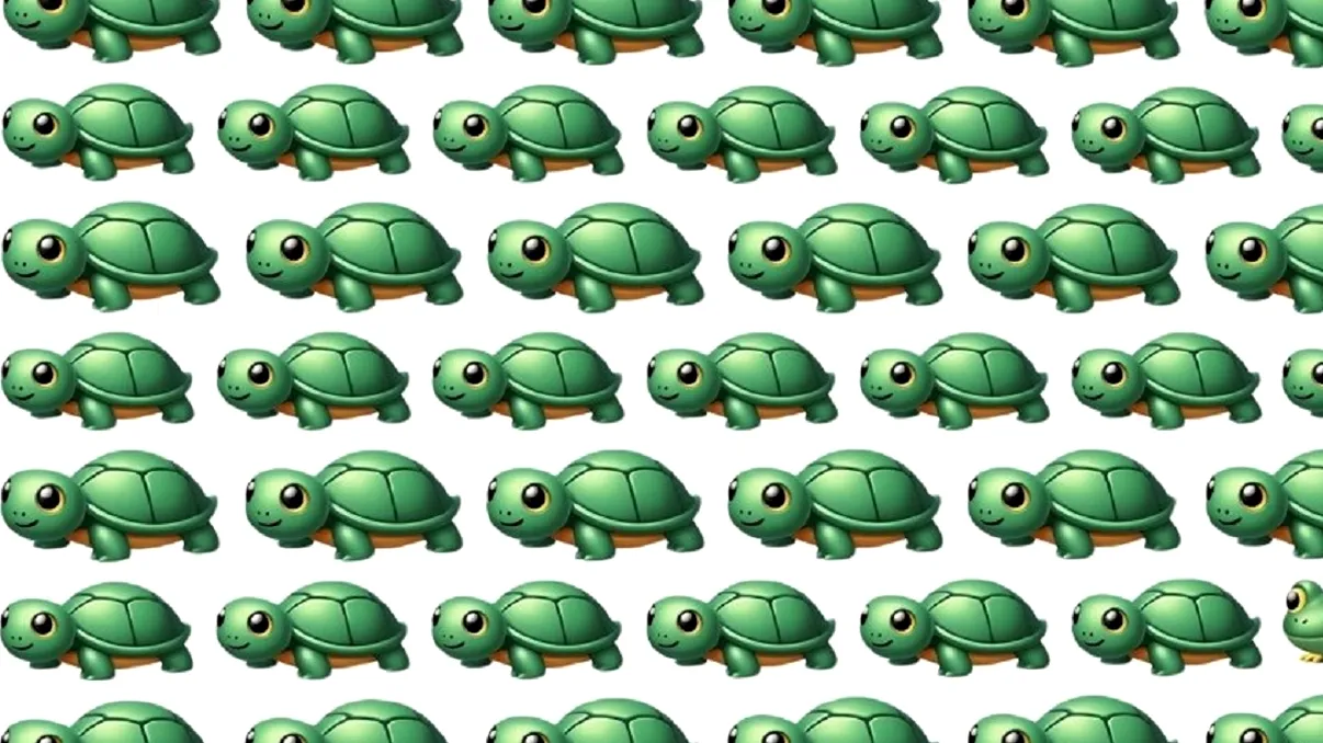 Test special de atenţie. Găseşte broasca ţestoasă ciudată din imagine! Ai doar 4 secunde la dispoziţie