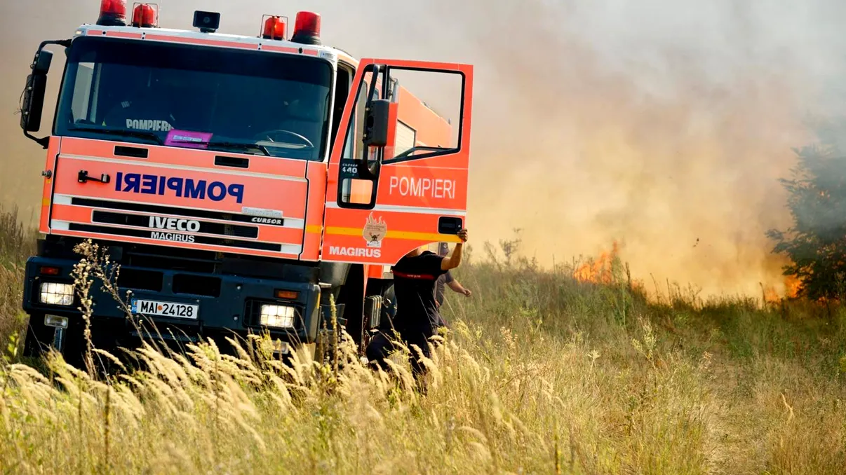 Incendiile de vegetație se extind în România. Pompierii se luptă cu flăcările la limita județelor Ilfov și Giurgiu. 40 de hectare sunt afectate