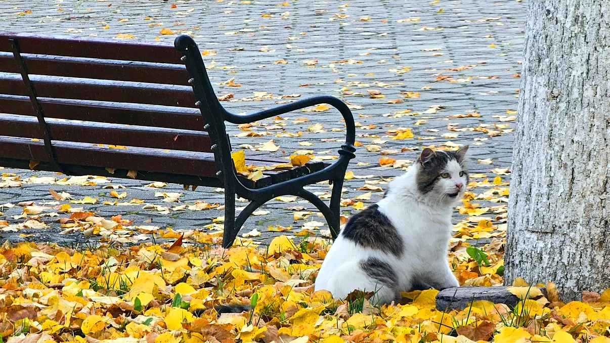 De ce ziua și noaptea nu sunt egale la echinocțiu. Momentul de egalitate se numește „echilux” și vine la câteva zile
