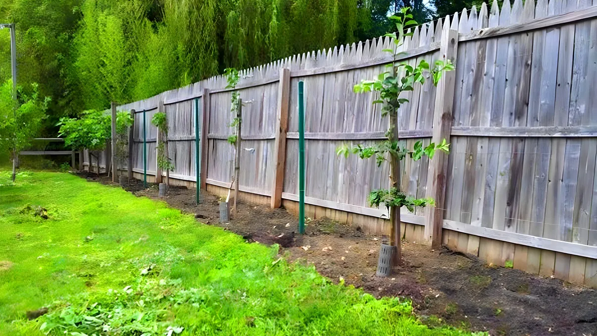 Cum se împarte costul unui gard între doi vecini. Obligații legale și excepții