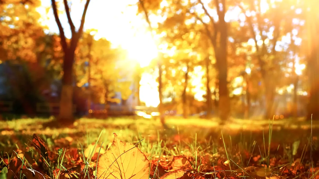 Prima zi de toamnă aduce caniculă. Zonele afectate de codul galben de căldură