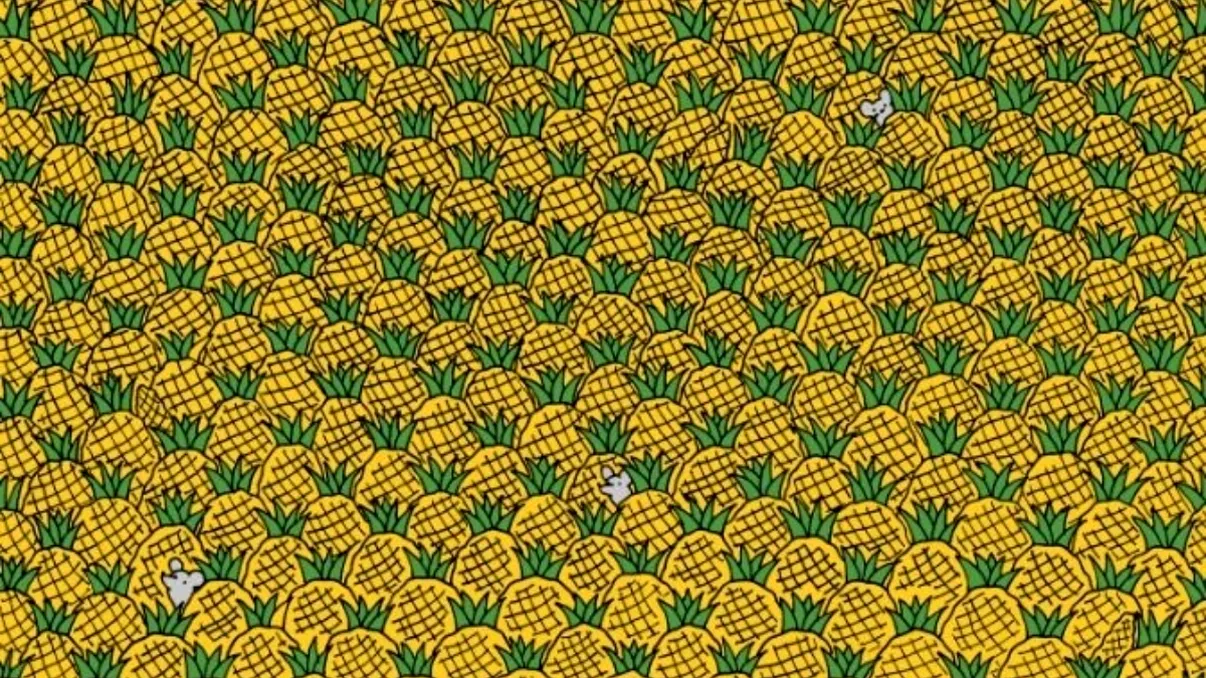 Test de atenţie: unde se ascund cele patru bucăţi de porumb printre ananași?
