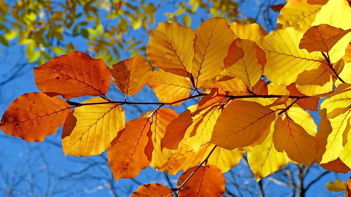 Prognoza meteo pentru următoarea lună. Vremea aduce surprize la începutul lunii octombrie