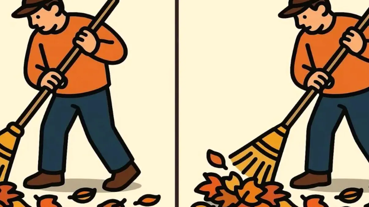 Provocarea celor 15 secunde. Găseşte trei diferenţe între imaginile de toamnă