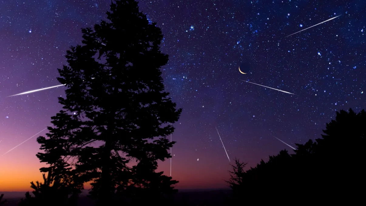 Leonidele 2025: Noaptea în care vom vedea cele mai multe stele căzătoare. Când are loc vârful fenomenului