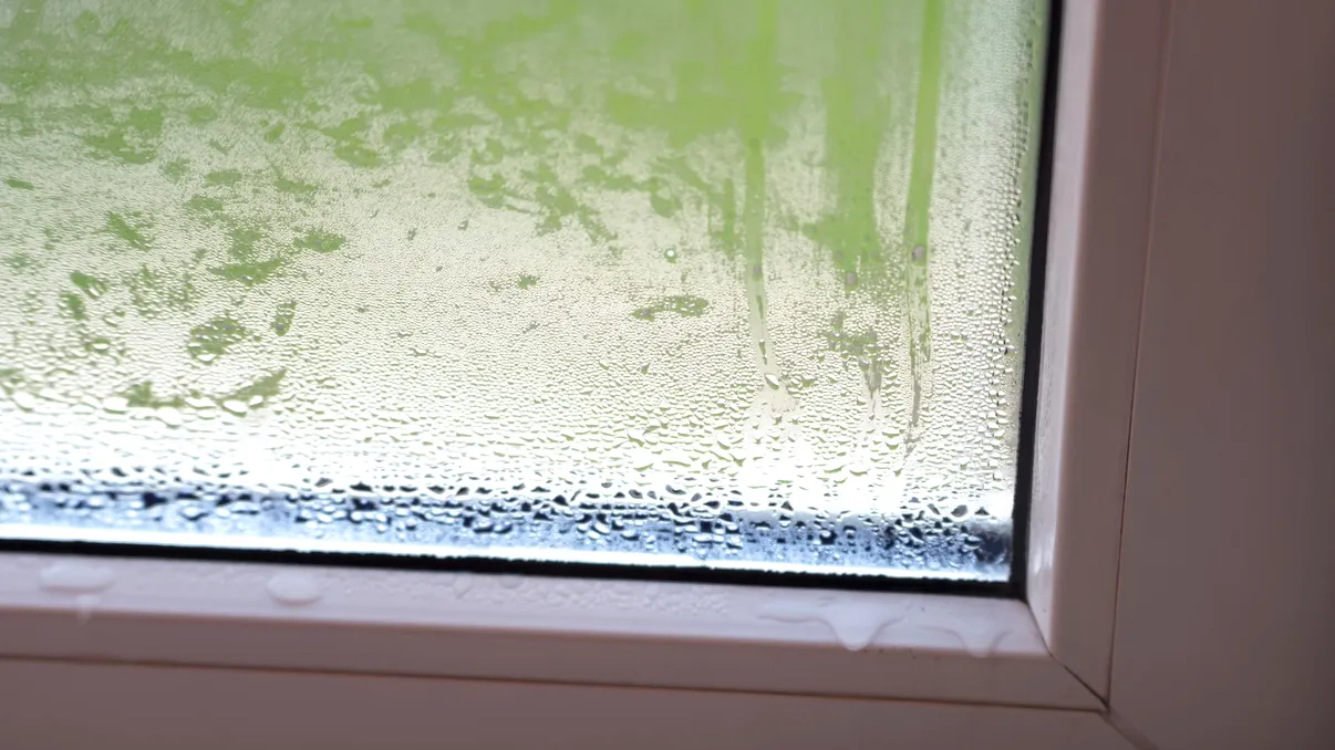 Cât trebuie să aeriseşti zilnic pentru a scăpa de umezeala din casă. Funcţionează şi când e ceaţă afară