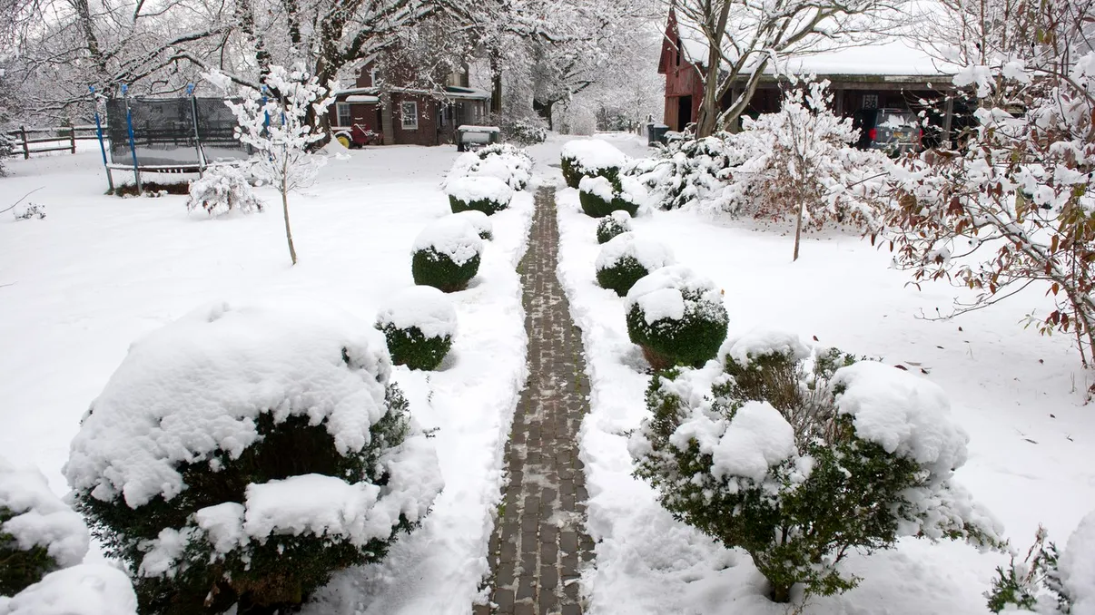 Cod galben de ninsori, lapoviță și ploi în România, Bucureştiul este şi el afectat de vremea rea. Zăpada va ajunge la 15 cm