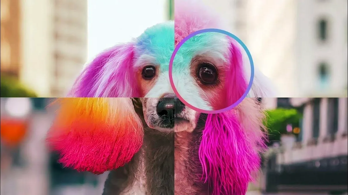 Cum verifici rapid dacă o imagine este generată cu inteligență artificială: noul instrument Google care te ajută să afli adevărul