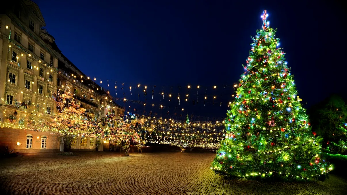 Ce s-a întâmplat cu bradul de Crăciun 